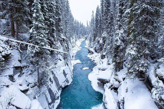 Winter Abraham Bubble Lake and Icefield Parkway - Final Thoughts on the Winter Abraham Bubble Lake and Icefield Parkway Tour
