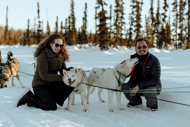 Winter Dog Sled Tour: Day or Night. - The Authentic Alaskan Dog Sledding Experience in Talkeetna