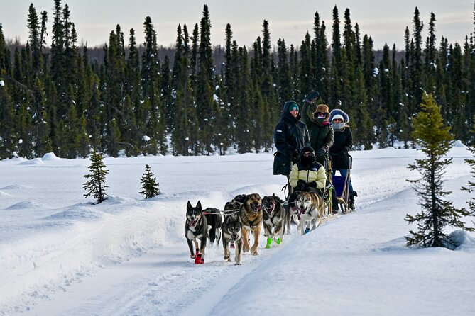 Winter Dog Sled Tour: Day or Night. - What Makes This Tour Stand Out: Private, Personal, and Scenic