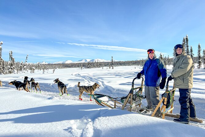 Winter Dog Sled Tour: Day or Night. - The Logistics: Meeting Point and Duration