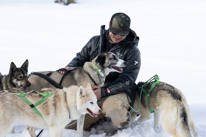 Winter Dog Sled Tour: Day or Night. - Booking and Cancellation Policies