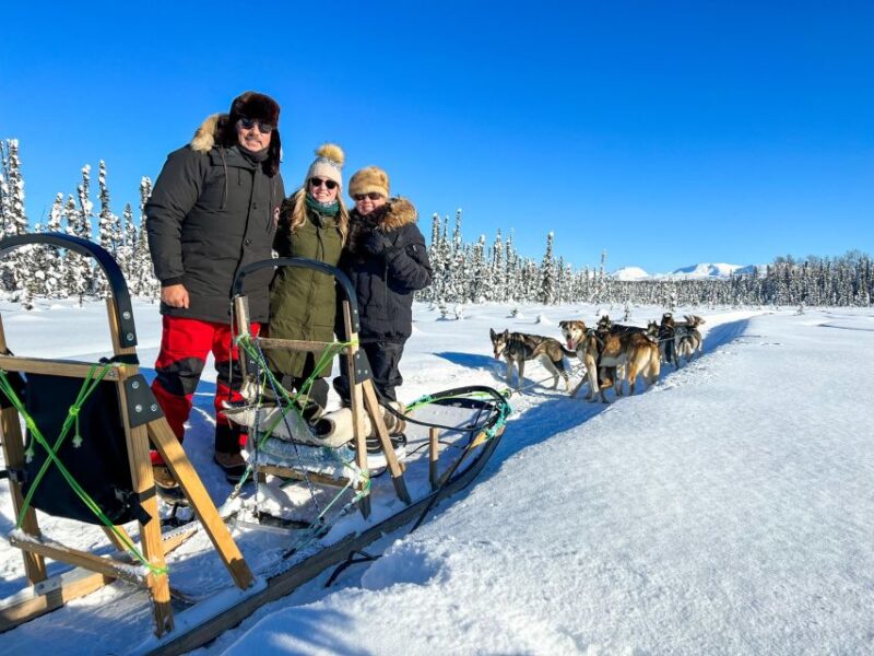 Winter Dog Sled Tour Day or Night Mush! - What Happens During the 2-Hour Experience