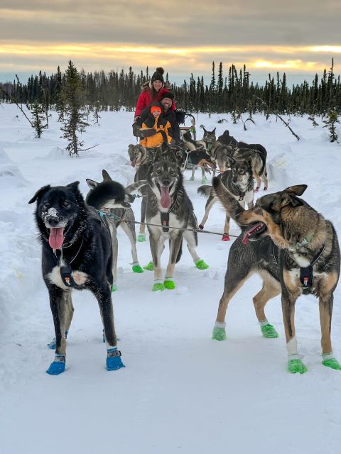 Winter Dog Sled Tour Day or Night Mush! - The Experience of the Guides and the Small Group Setting
