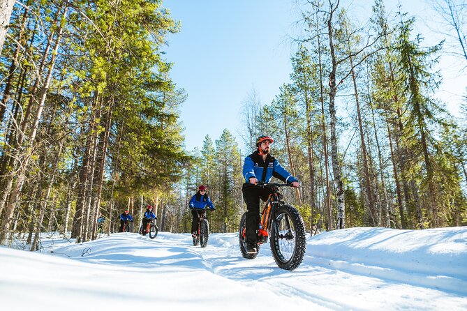 Winter eFatbike Tour in Snowy Forest in Rovaniemi Apukka Resort - What Sets This Tour Apart from Other Arctic Adventures