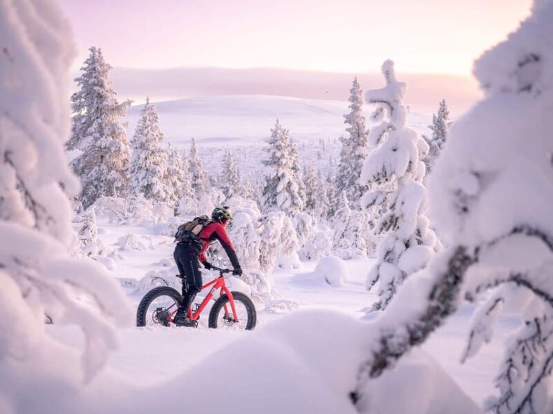Winter Electric Fat bike Experience - Practical Details: Meeting Point, Group Size, and Flexibility