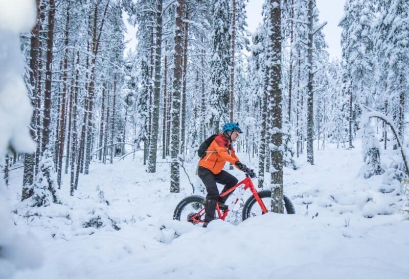 Winter Electric Fat bike Experience - The Sum Up: A Fun, Eco-Friendly Winter Ride in Lapland