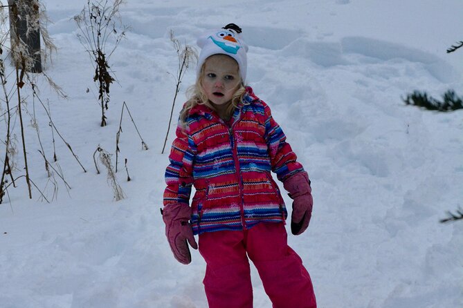 Winter Family Fun Day in Palmer Alaska - Weather Considerations and Cancellations