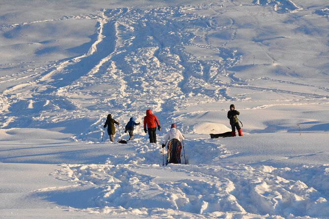 Winter Family Fun Day in Palmer Alaska - Frequently Asked Questions