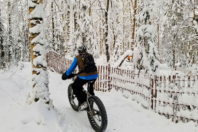 Winter Fat Biking Anchorage Tour - Physical Fitness and Accessibility Requirements