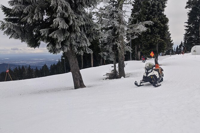 Winter Fun at North Shore Mountains- Grouse, Seymour & Cypress - Elevating the Experience at Grouse Mountain