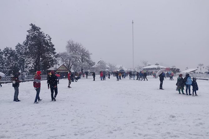 Winter Fun at North Shore Mountains- Grouse, Seymour & Cypress - Mount Seymour’s Family-Friendly Trails and Snowshoeing
