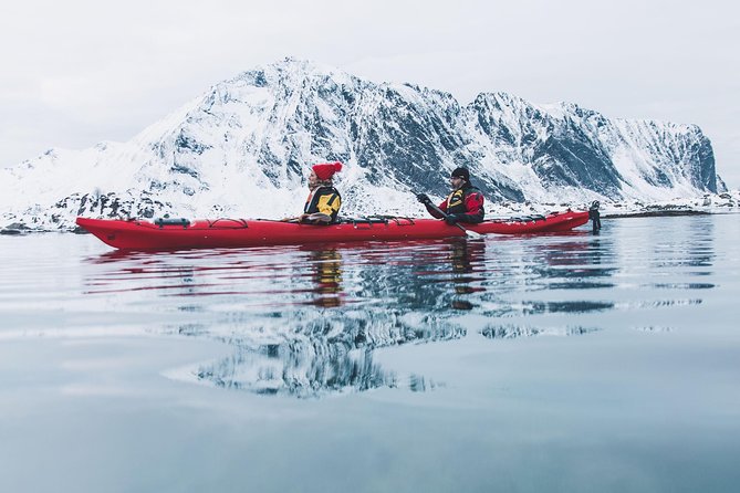 Winter Half Day Kayak Tour - Key Points