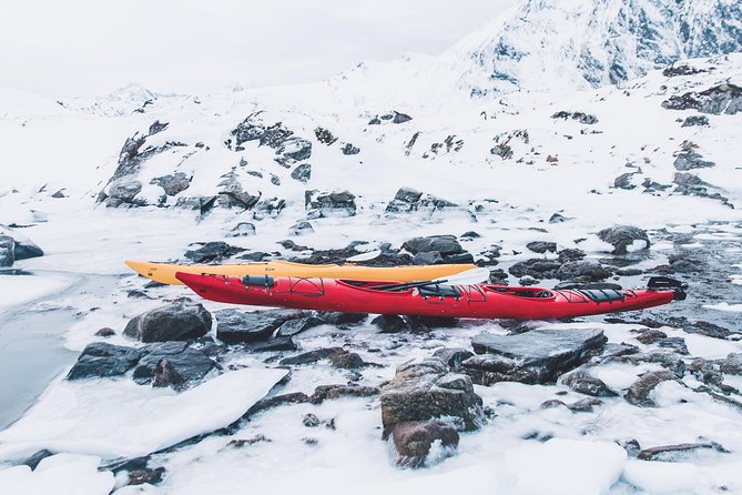 Winter Half Day Kayak Tour - Comparing Similar Experiences in Lofoten