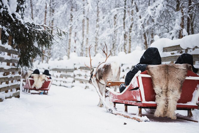 Winter highlights: Snowmobile, Arctic Animals And Santa`s Village - Limitations to Consider