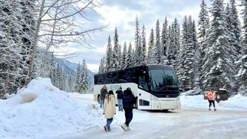 Winter Hikes, Gondolas, and Banff Day Trip - Accessibility and Practical Tips