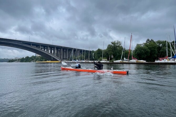 Winter Kayak Tour in Stockholm City (Dry Suit Kayaking) - The Guide and Group Dynamics