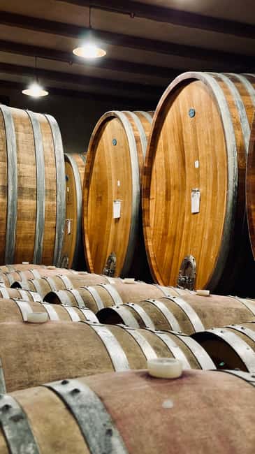 Winter Olympics 2026 Private UNESCO Wine Tour from Milan - Visiting the UNESCO World Heritage Winescape of Piedmont