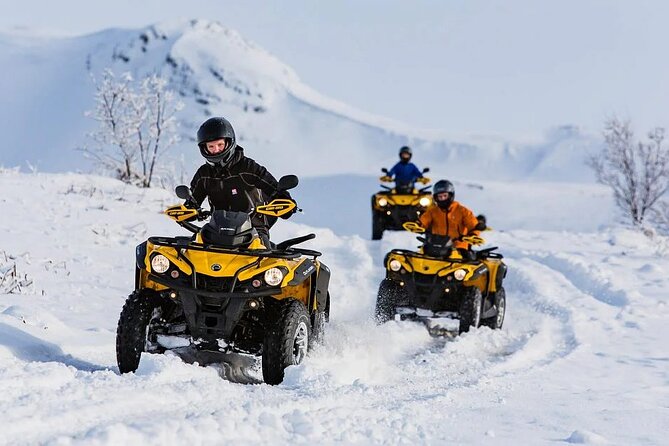 Winter Quad Bike Ride in the Arctic Circle from Rovaniemi - Highly Praised Guides and Customer Service