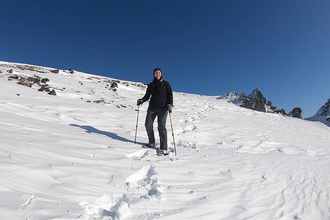 Winter Snowshoeing Adventure - Weather and Conditions: Snow, Sun, and Peaceful Atmosphere