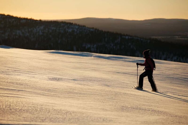 Winter Snowshoeing in the Finnish Wilderness - Booking and Cancellation Policies