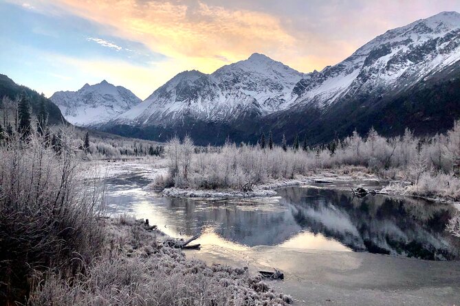 Winter Valley and Forest Hike - Explore the Winter Valley and Forest Hike in Anchorage