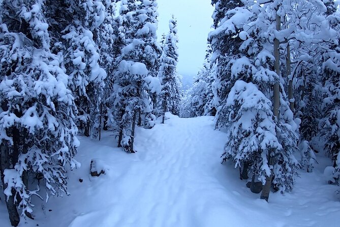 Winter Valley and Forest Hike - Key Points