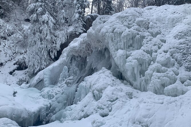 Winter Waterfall Walk - The Flora of Alaska’s Boreal Forests