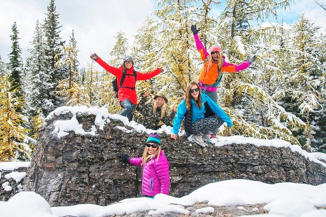 Winter Wildlife Discovery Tour - Logistics, Pickup, and Group Size