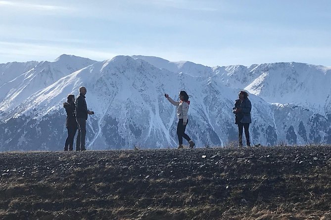 Winter - Wildlife & Turnagain Arm Tour - The Experience with Guides: Knowledge and Hospitality