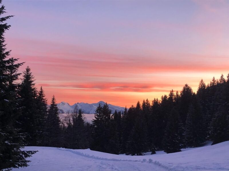 Winter Wonderland Expedition, Snowshoe Journey into the wild - Key Points