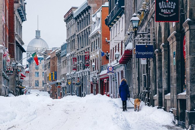 Winter Wonderland Express: Old Montreal Highlights Walking Tour - Insider Tips and Recommendations
