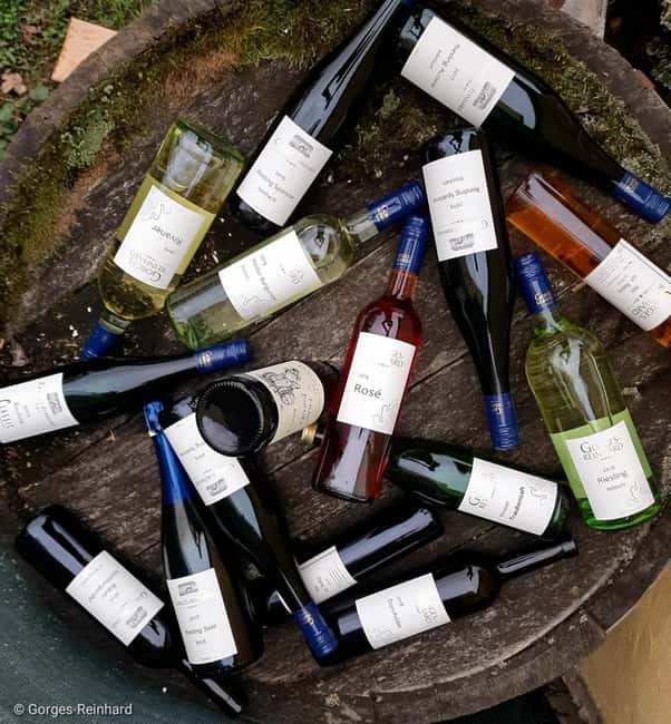 Wintrich: Wine tasting and winery tour - Key Points