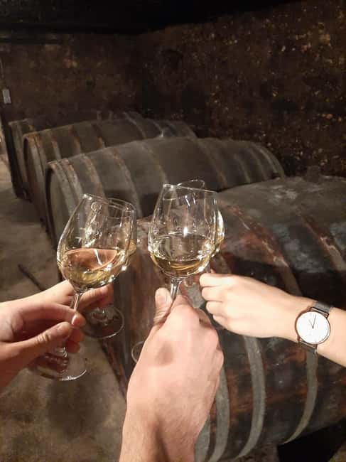 Wintrich: Wine tasting and winery tour - Starting Point at Weingut Gorges-Reinhard in Wintrich