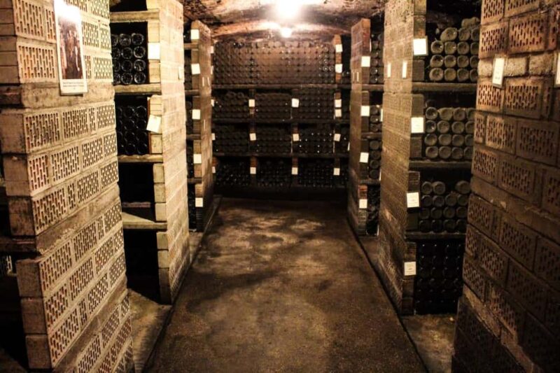 Wintrich: Wine tasting and winery tour - The Wine Tasting Experience