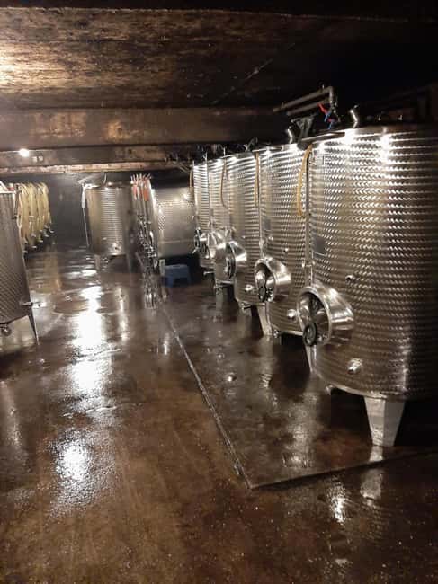 Wintrich: Wine tasting and winery tour - Comparing with Similar Experiences