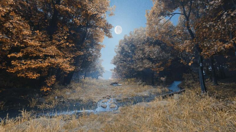 With Francis - immersive VR experience in Assisi - Final Words on the Virtual Journey in Assisi