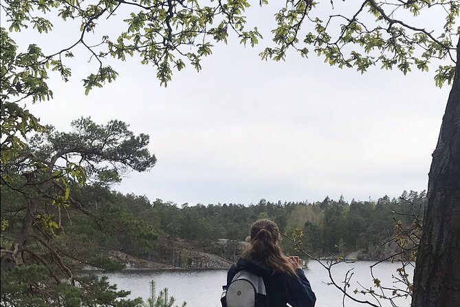 Wolf and Wildlife Tracking in Sweden - Key Points