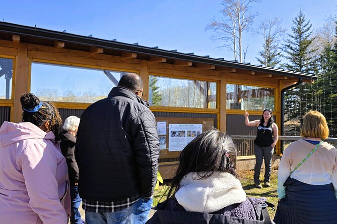 Wolfdog Sanctuary and Banff Day Trip - Included Amenities and Flexibility