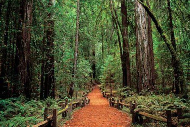 Women Only 5 day California Vineyards, Waves and Wine Tour - Scenic Hikes and Coastal Charm at Tomales Bay