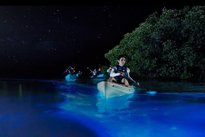 Women Only 5 day California Vineyards, Waves and Wine Tour - Luxurious Sonoma Valley and Geothermal Springs