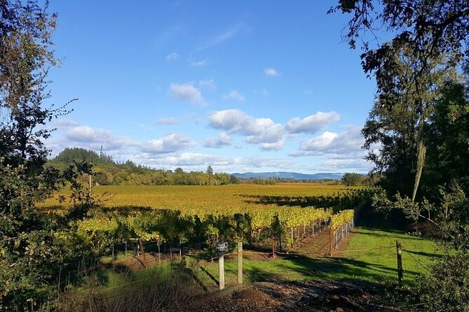 Women Only 5 day California Vineyards, Waves and Wine Tour - Unique Experiences: Oysters, Mead, and a Vineyard Lunch