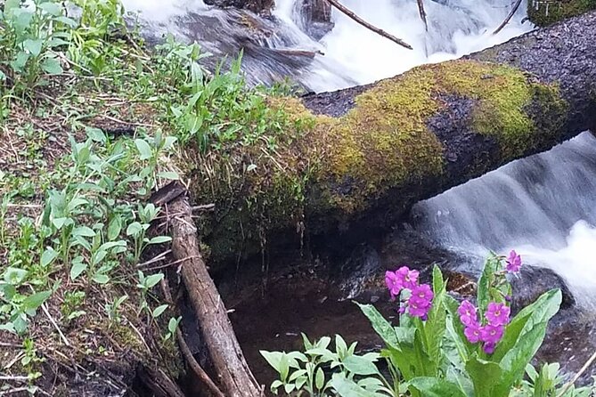 Women's Hike to Ouzel Falls in Rocky Mountain National Park - Key Points