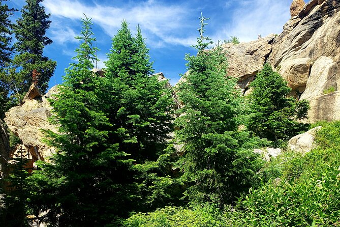 Women's Hike to Ouzel Falls in Rocky Mountain National Park - Limitations and Considerations