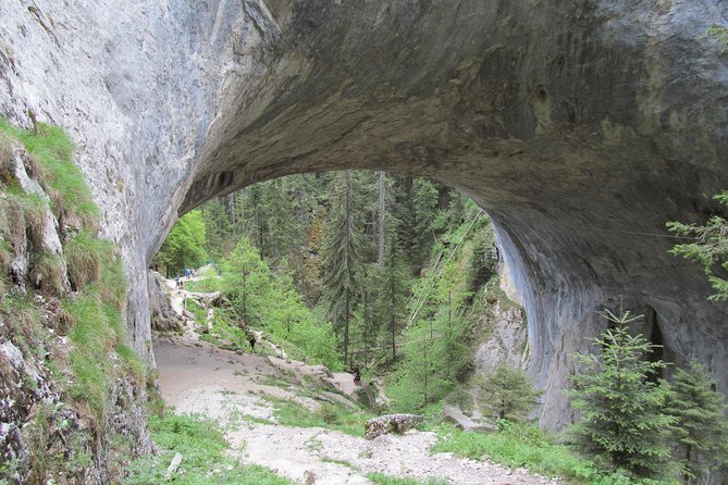 Wonderful Bridges-Bachkovo Monastery-Assen's Fortress - day tour from Plovdiv - Physical Requirements and Accessibility