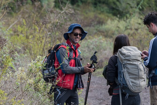 Wonderful hike through the Magic Forest of Tenerife - The Sum Up: A Genuine Nature Encounter in Tenerife’s Teno Park