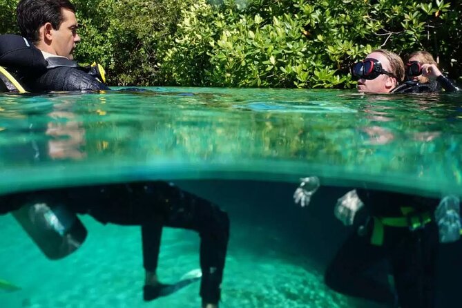 Wonders of the Underwater World: Discover Scuba Diving in Tulum - Who Should Consider This Tour?
