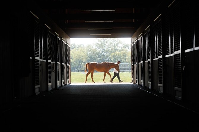 Woodford Reserve, Kismet Thoroughbred Farm & Whiskey Thief - Why This Tour Receives Perfect Ratings