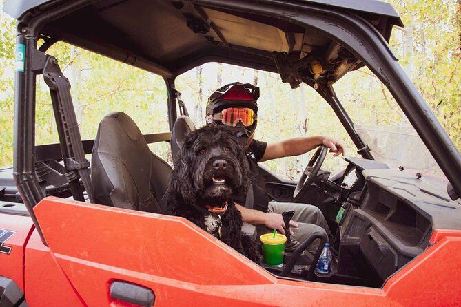 Woodland Park: 4-Hour Self-Guided Mountain UTV Tour - You Drive - Scenic Trails, Overlooks, and Wildlife Viewing Opportunities