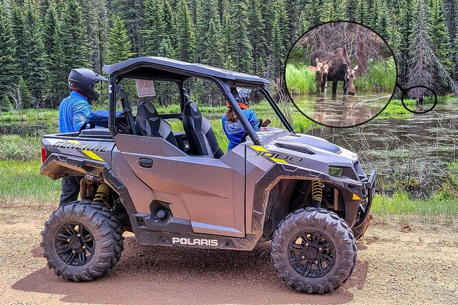 Woodland Park: 4-Hour Self-Guided Mountain UTV Tour - You Drive - Who Will Enjoy This Self-Guided UTV Tour?