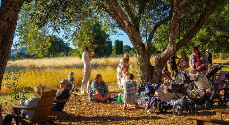 Woodside: Filoli Historic House and Garden Entry Ticket - The Filoli Mansion: Step Back in Time with Georgian Style